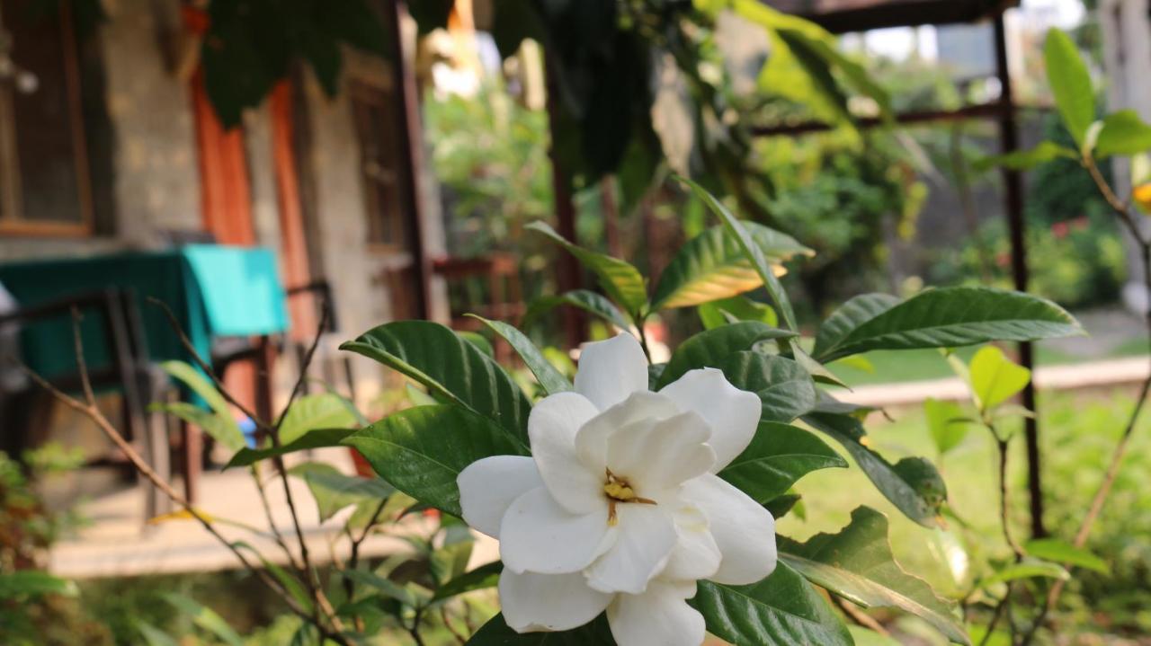 Gurkha Lodge Pokhara Kültér fotó